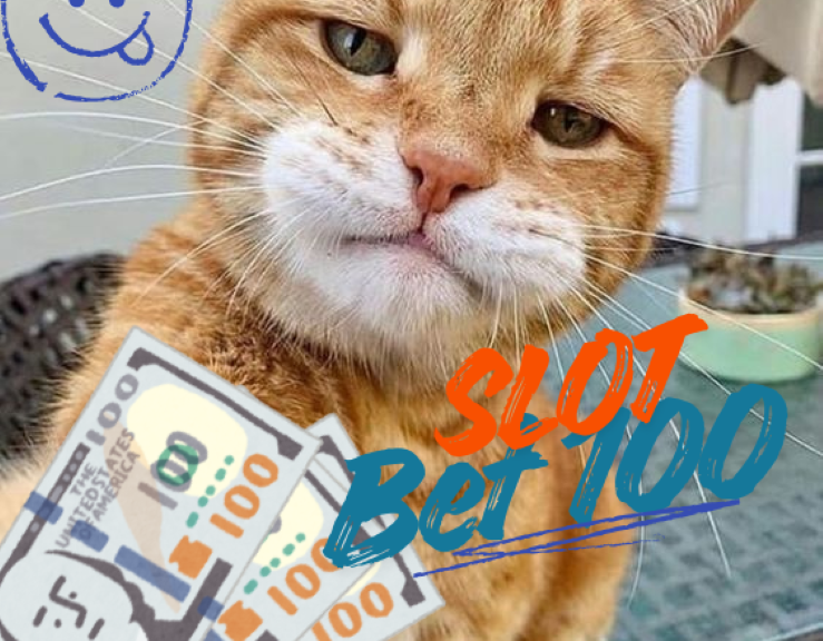 Slot Bet 100 dengan Pola Bermain Santai dan Minim Risiko