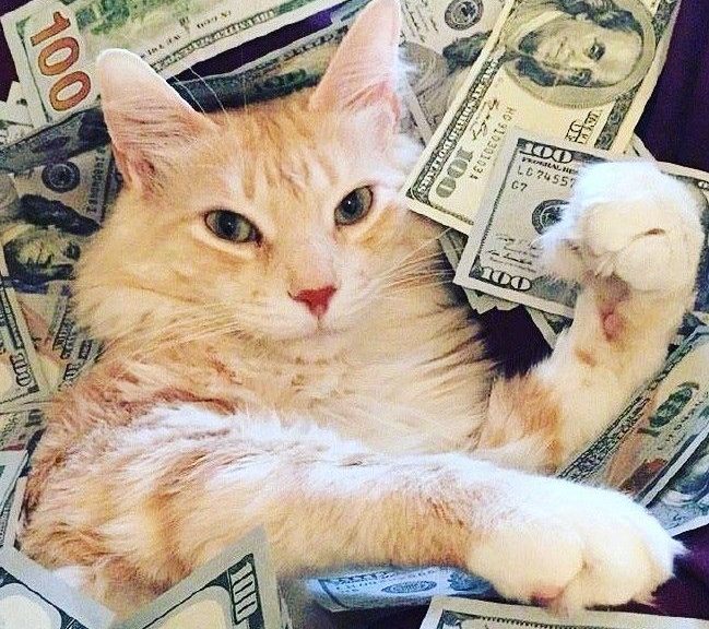 Slot Depo 5k, Solusi Main Tanpa Tekanan Pikiran